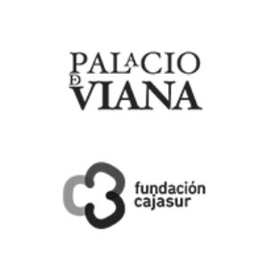 Palacio Viana